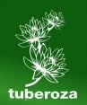 tuberoza